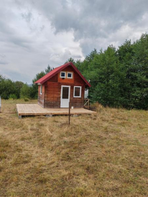 Renul Minimalist Râşnov